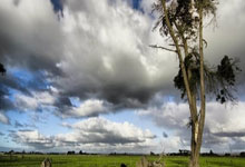 埃利奥特谈克洛普离任：那是奇怪的一天，他没能拥有雕像令人惊讶.