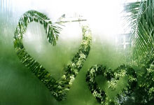 殷铁生“十年之约”重回女足 老骥伏枥再建新功.