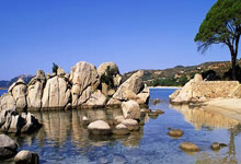 [网球]不敌斯维亚特克 郑钦文无缘女单四强.